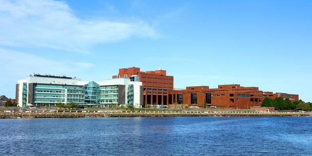 Boston, Massachusetts, USA - May 21, 2017: Daytime view of the University of Massachusetts Boston campus along the Boston Harborwalk